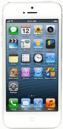 Смартфон Apple iPhone 5 64Gb White & Silver - Буй