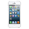 Apple iPhone 5 16Gb white - Буй